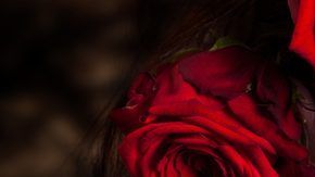 Disfraces de Catrinas.