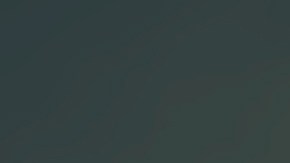 Incluso, Trump se manifestó en Twitter sobre este suceso.