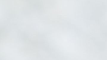 shutterstock_337851278