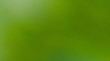 parálisis cerebral infantil