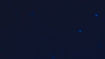 Hay quienes creen que se trata de un objeto extraterrestre.