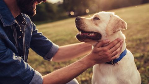 Greg y su perro Gunner murieron con tan sólo una hora de diferencia.