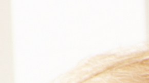 Cualquier parecido con la realidad es mera coincidencia.