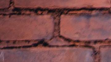 Descubre qué tan odiado es tu signo zodiacal.