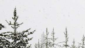 Conducir en temporada invernal puede ser peligroso.