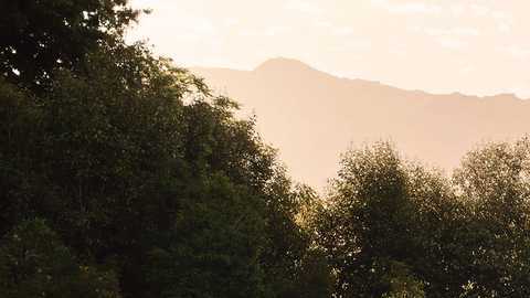 Kia Sorento 2020.
Crédito: Cortesía Kia.