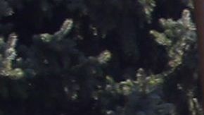 Kim Kardashian junto a sus hijos.