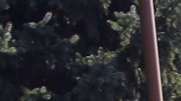 Kim Kardashian junto a sus hijos.