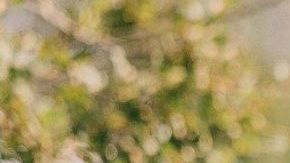 Investigadores descubrieron que las madres solían preferir a las hijas, sobre todo a las primogénitas. 