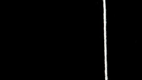 Hierbas que deberías tener en tu despensa.