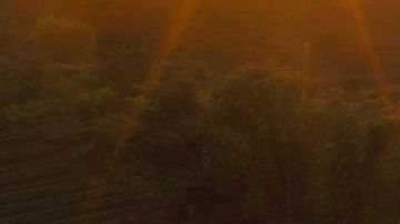 Nuevas telenovelas de Telemundo.