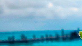 Ahora ya podrás diferenciar estas dos bebidas como todo un conocedor.