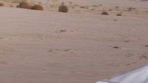 Tesla Cybertruck. / Foto: Cortesía Tesla.