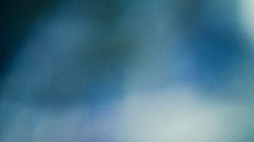 Hay una gran variedad de horóscopos.