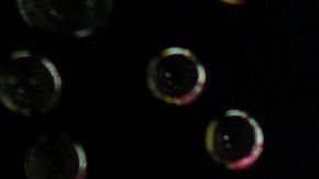 Los cepillos de dientes pueden estar expuestos a decenas de contaminantes.