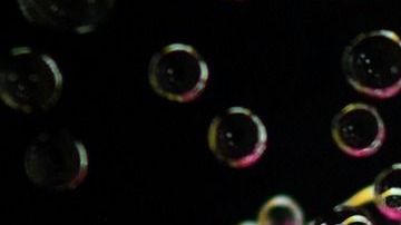 Los cepillos de dientes pueden estar expuestos a decenas de contaminantes.