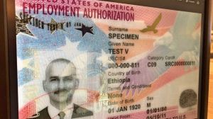 Iniciativa de ley propone dar prioridad de visas H-1B a inmigrantes educados en EEUU