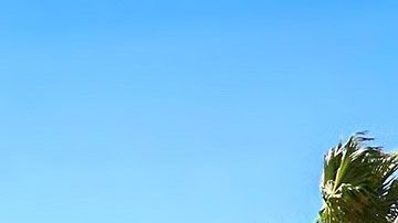 Los vuelos saldrán de 20 ciudades diferentes.