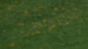 Volkswagen Vocho
Crédito: Pixabay