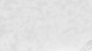 El horóscopo árabe está compuesto por 12 armas.