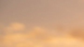 Estos signos son muy bondadosos y siempre buscan la justicia.