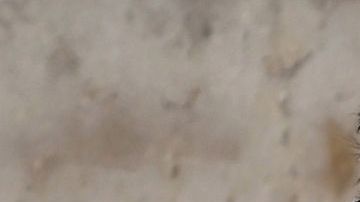 Zayn Malik y Gigi Hadid