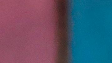 Newsom: "La orden del uso de tapabocas es obligatoria".