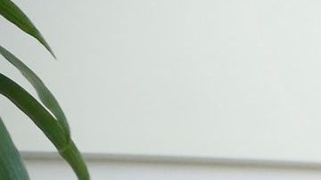 Una mujer recibe una manicura. (Aurelia Ventura/La Opinion)