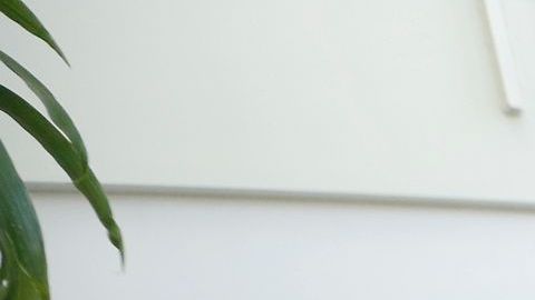 Una mujer recibe una manicura. (Aurelia Ventura/La Opinion)