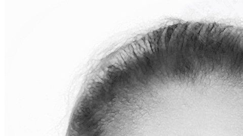 Homicidio de joven en Long Island