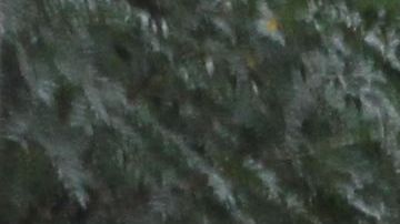 Algo no está funcionando en el sistema escolar de NYC