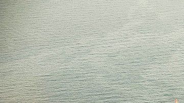 111245902_gettyimages-103256923