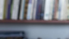 Thomas Hylland Eriksen,