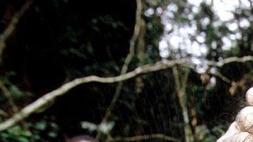 112818913_c0217081-ebola_virus_research-2