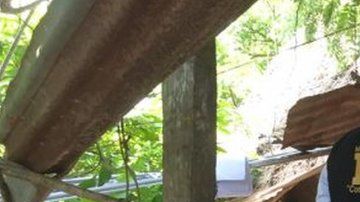 112820823_foto-1-peten-800x521-1