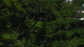 112862252_gettyimages-1219041680