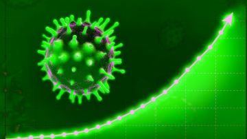 Un estudio del SARS-CoV-2 estimó que la tasa más alta de transmisión viral tiene lugar uno a dos días antes de que la persona infectada comience a mostrar síntomas.