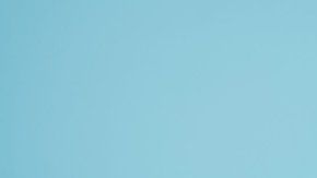 113020131_whatsubject