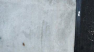 113042631_tv062104004