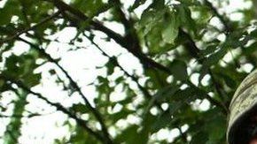 113126910_gettyimages-1222987956