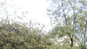 113173570_3f435f18-e9f0-4f55-b732-9464e54d7554