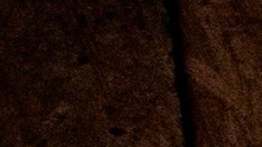 Decenas de comercios han sido saqueados a lo largo del condado de Los Ángeles.