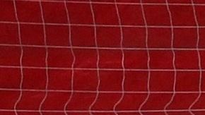 Se prevé que Fernando Muslera estará fuera de actividad por el resto del 2020.