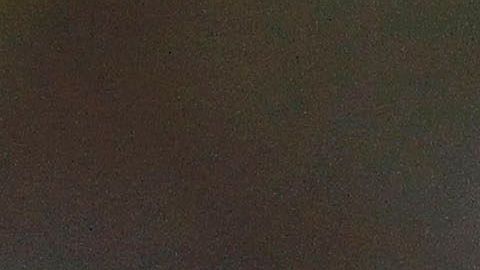 Sambueza se ha caracterizado por ser un jugador indisciplinado.