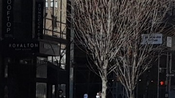 NYPD luce con las manos atadas, entre críticas mutuas con el alcalde