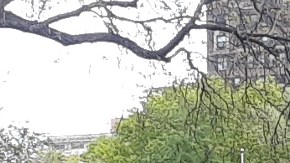 NYPD en Washington Square Park.