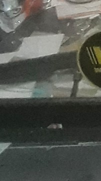 Varias farmacias fueron saqueadas en NYC