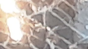 Vitrina de zapatería vandalizada en la 5ta Av