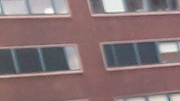 Unos critican a NYPD y otros la claman