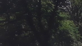 NYPD marcó la escena del homicidio en el elegante Madison Square Park